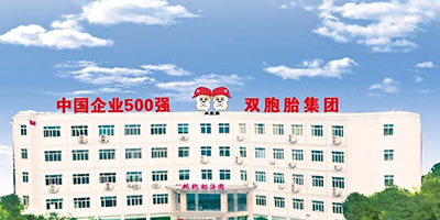 双胞胎