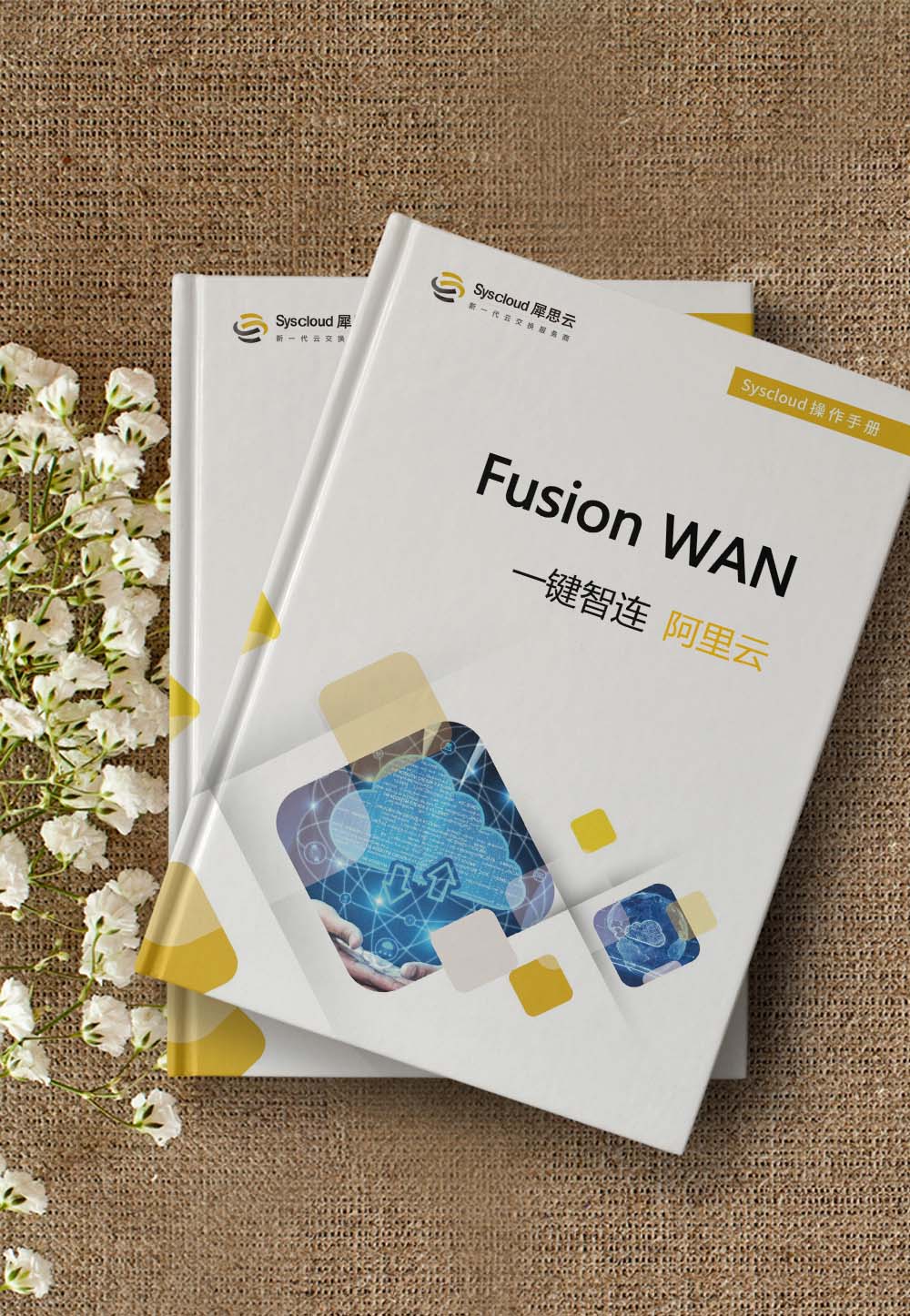 FusionWAN一键智连阿里云